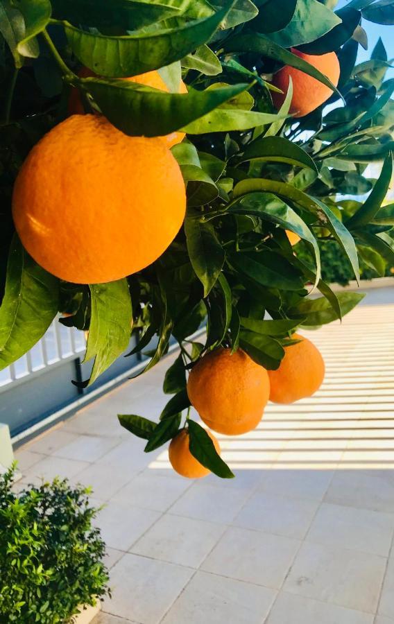 La Casetta Di Gio 夏卡 外观 照片