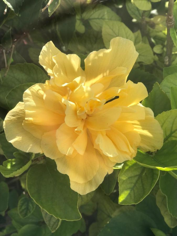 La Casetta Di Gio 夏卡 外观 照片