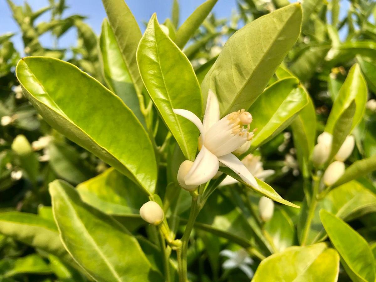 La Casetta Di Gio 夏卡 外观 照片